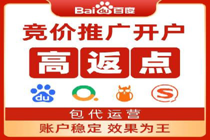 成功案例：SEM竞价代运营助力企业实现持续增长